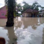 IMG-20250302-WA0018