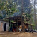 Jelajahi Sensasi Mendaki ala Keluarga di Jalur Baru Selokurung, Malang