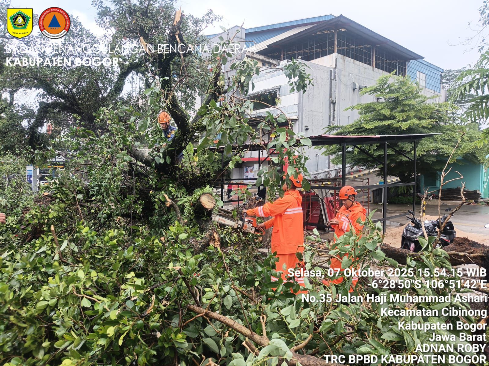 Personil BPBD Kabupaten Bogor melakukan pembersihan pada sejumlah pohon tumbang akibat terjangan angin kencang yang melintasi wilayah Kabupaten Bogor pada Selasa (7/10).Foto: BPBD Kabupaten Bogor